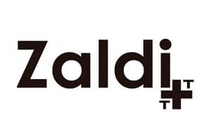 Logo de Zaldi