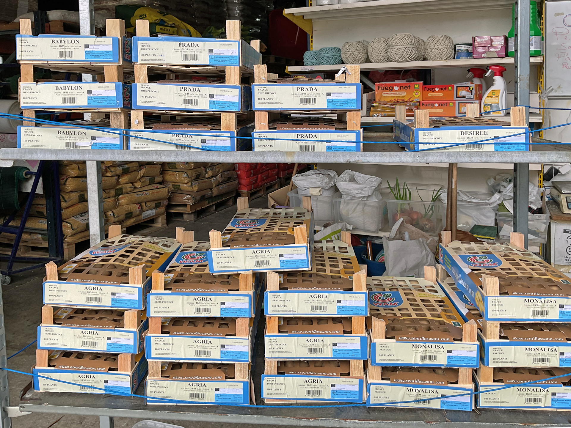 Forrajes Salnés en Mosteiro