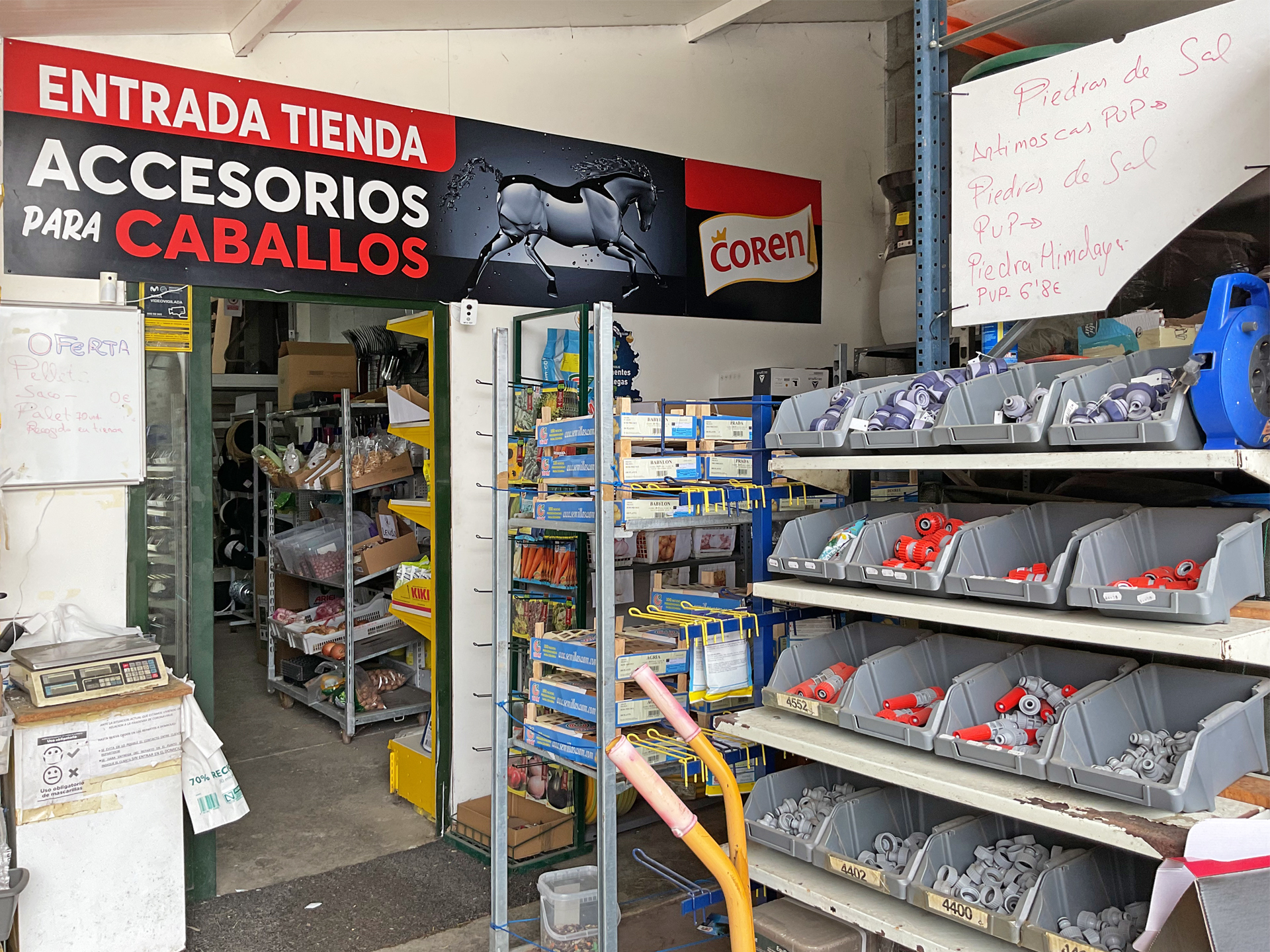 Forrajes Salnés en Mosteiro